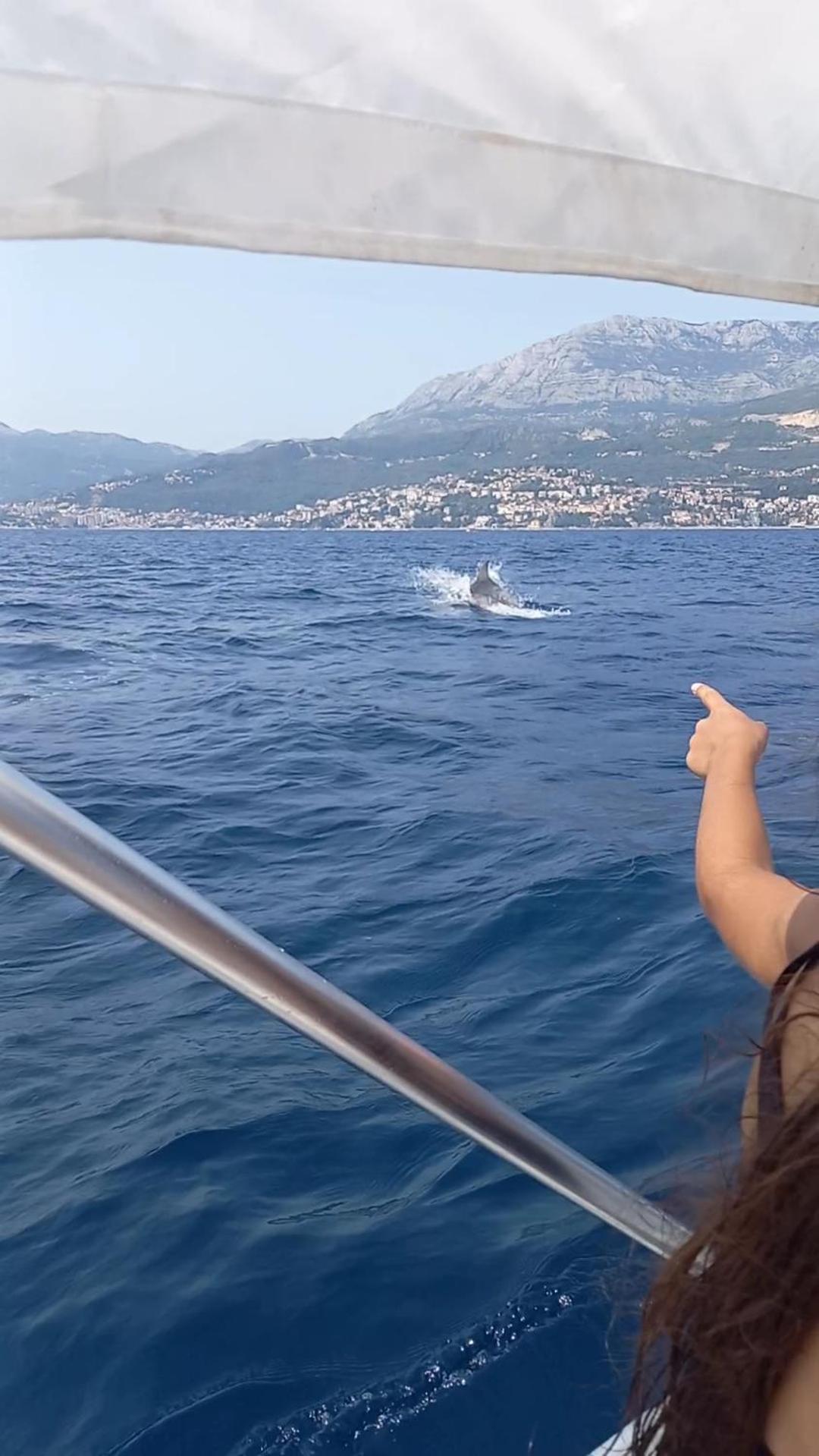 Apartmani Milena Herceg Novi Luaran gambar